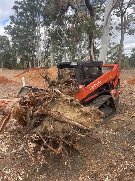 Banks Bulldogs Football Club - Dougal, Scotty, Goat, Dougy - everyone’s