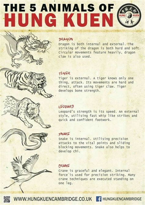 Thefiveanimalsofkungfu Martial Arts Sparring Martial Arts