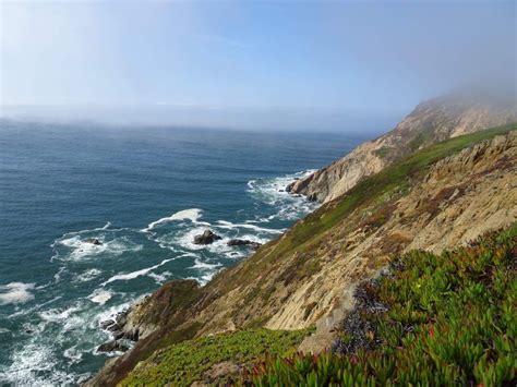 The Ultimate Guide To Point Reyes National Seashore