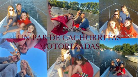 UN PAR DE CACHORRITAS MOTORIZADAS CAMARÓGRAFA MU3R3 EN CÁMARA YouTube