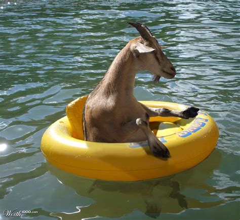 Whatever Floats Your Goat Rafael Habegger