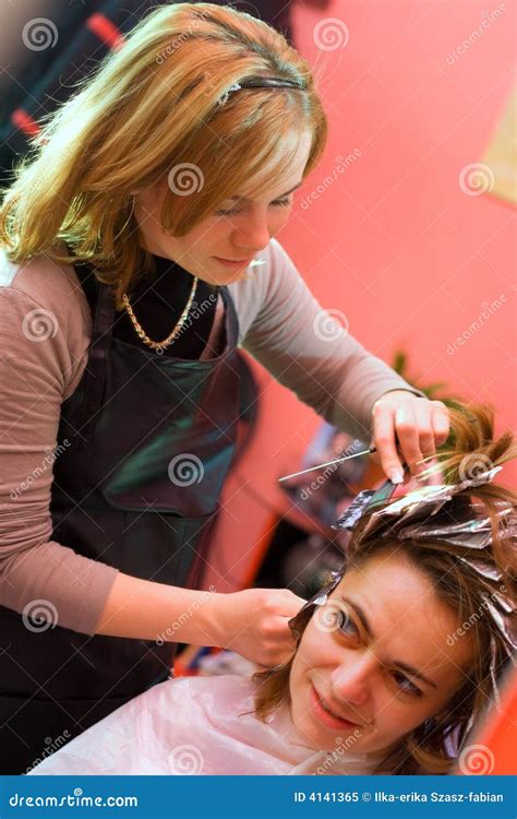 Hair-stylist stock image. Image of barber, dresser, profession - 4141365