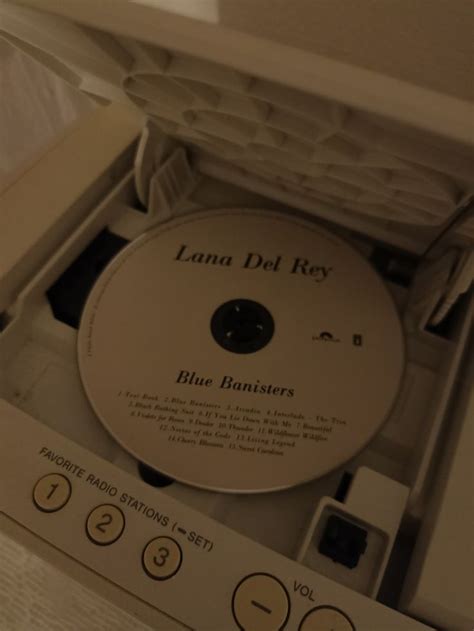 Lana Del Rey Blue Banisters Nel 2024