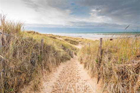 Yann Avril Photographies Photos De La C Te D Opale Dunes De La C Te