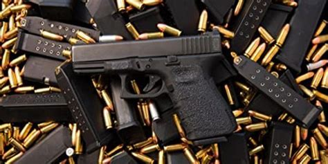 Palmetto Firearms Llc Firearms Personal Protection