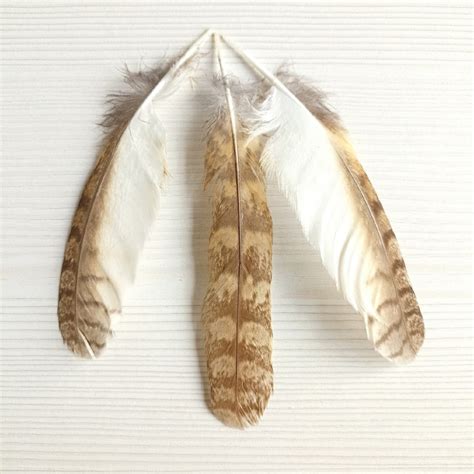 Перья совы. 3 шт. 14-15 см.Натуральные перья для декора и рукоделия ...