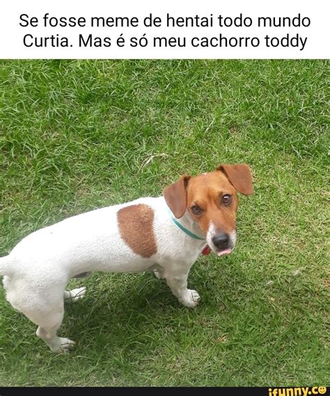 Se Fosse Meme De Hentai Todo Mundo Curtia Mas S Meu Cachorro Toddy Ifunny Brazil