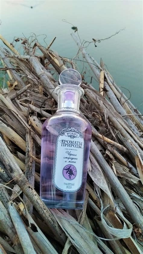 Черная смородина и мята - Black currant and Mint Brocard perfume - a ...