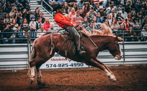 Ranch Rodeo - East Region Tourism IN Indiana