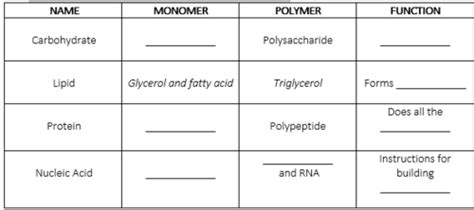 Biology Exam 1 Study Guide Flashcards Quizlet