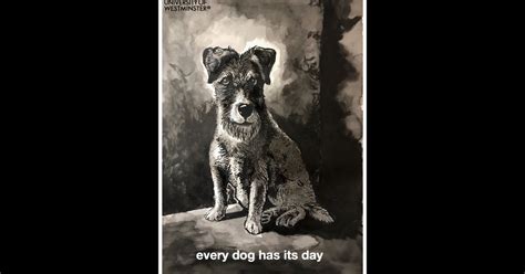 Every Dog Has Its Day Short Film Indiegogo