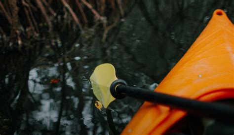 size paddle    kayak paddle sizing guide paddlingspacecom