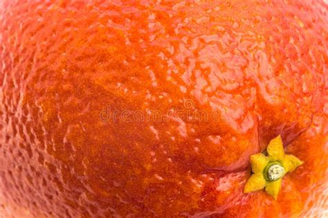 Red Blood Sicilian Orange And Green Leaf Macro Photo Stock Image