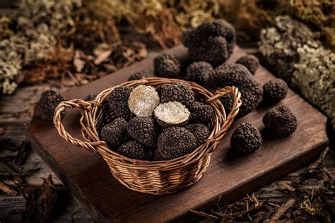Il tartufo? Nelle Marche c’è tutto l’anno - Wayglo Roma