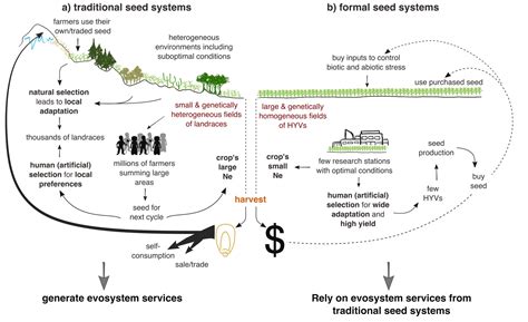 New article – Human management of ongoing evolutionary processes in ...