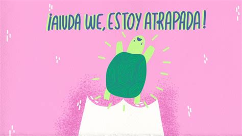 Una Tortuga Y Otros Objetos Extra Os Encontrados En Una Vagina Cultura Colectiva