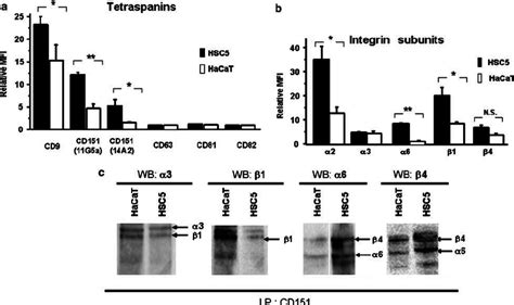 The Expression Patterns Of Tetraspanins And Integrins In HSC5 And