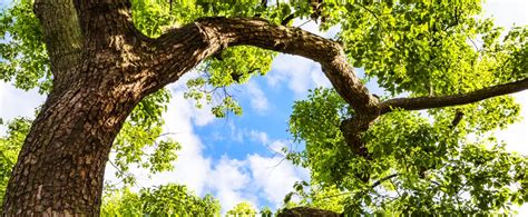 Discover Nitto | Nitto in Japan (English)