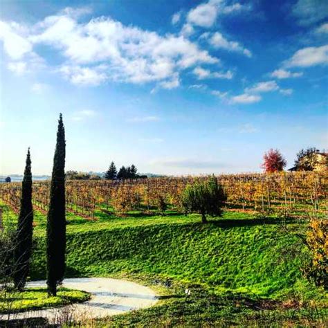 Venice Prosecco Hills Wineries Tour With Tastings And Lunch GetYourGuide