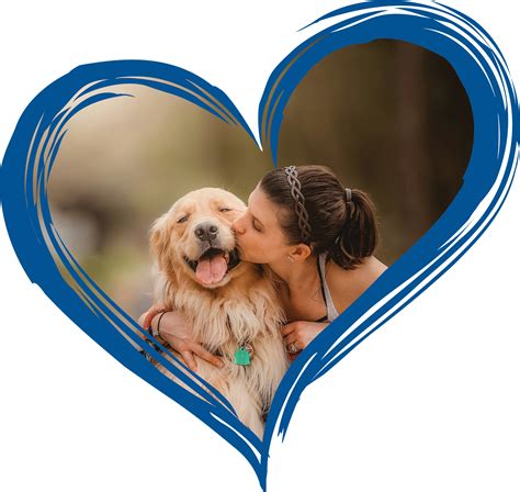 Lowe Family Pets Cremation Service