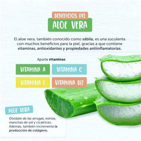 Cu L Son Los Beneficios Del Aloe Vera En La Piel