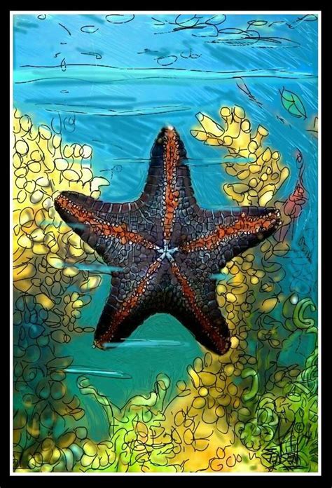 Starfish Starfish Digital Painting Deviantart