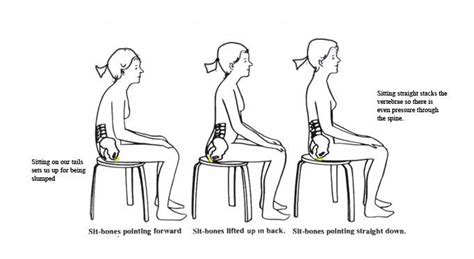 sitting posture  prevent neck   pain