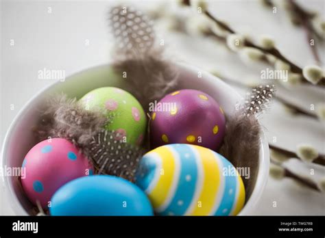 Colored Easter Eggs And Pussy Willow Branches Stock Photo Alamy