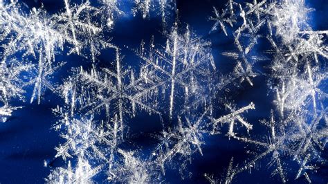 Real Snowflakes Background