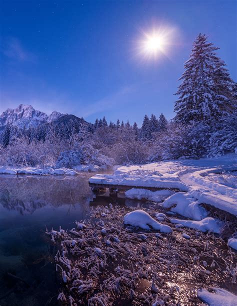 Photo Slovenia Zelenci Sun Winter Spruce Nature Lake Snow