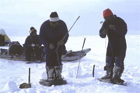 29. Seal Hunting | The Nick Newbery Photo Collection