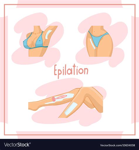 Depilate Body Parts Bikini Royalty Free Vector Image