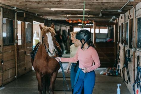 Horse Riding Tips: Best Techniques for Beginners - All About Horses