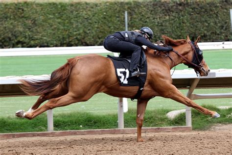 How racing is making strides into ‘Big Data’ | Trainer Magazine