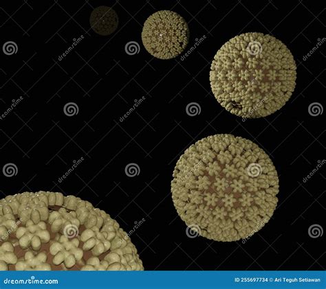 Herpes Simplex Virus 1 and 2 (HSV-1 and HSV-2 Stock Illustration ...