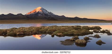 sajama national park bolivia foto de stock  shutterstock