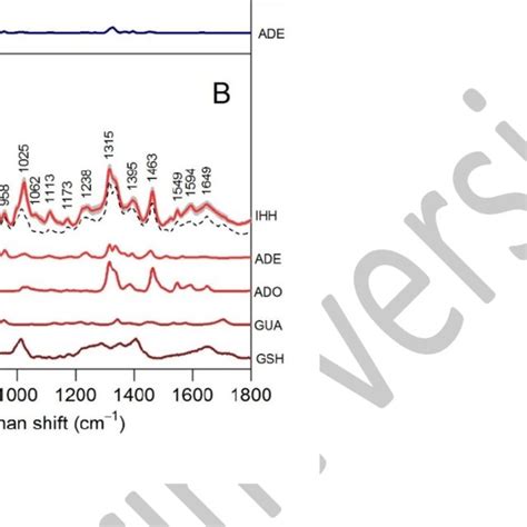 Comparison Between Average SERS Spectrum Of 11 IHH Lysates IHH On Ag