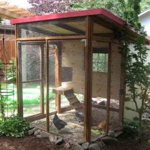 Курятники фото. Какой курятник сделать на даче?