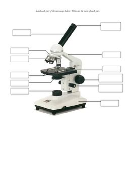 Parts of a Microscope Quiz by Love2Teach in PA | TpT