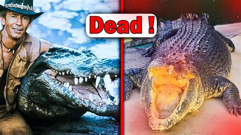 Crocodile Dundee Star Passes Away at 90 | crocodile dundee dies news