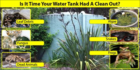 Tips for Effective Water Tank Cleaning Solutions