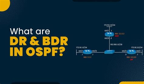 Dr And Bdr In Ospf Roles And Election Process Pynet Labs