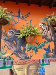 Join Alirawrz Live Sex Chat Profiles Reviews Porn