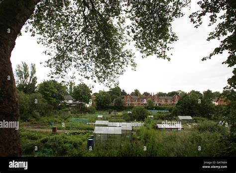 Allotments Stock Allotments At Harborne In Birmingham Stock Photo Alamy