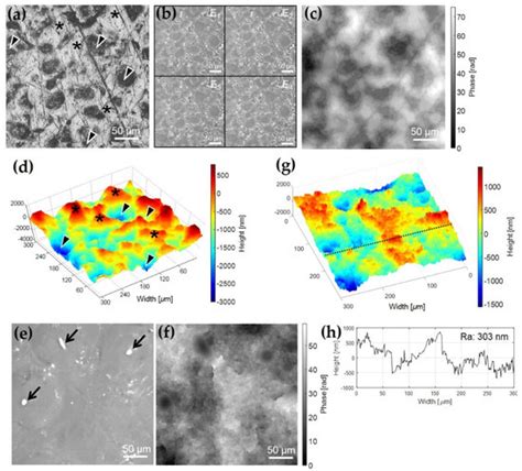 Applied Sciences Free Full Text In Situ Metrology For Pad Surface