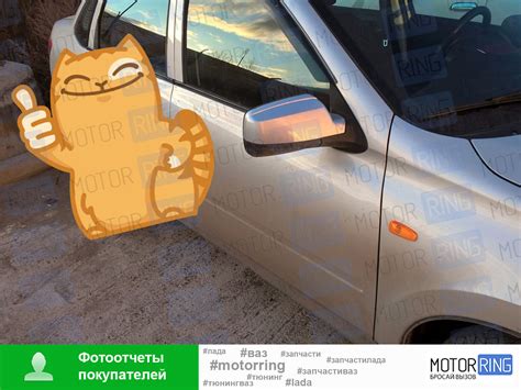 Вставки на зеркала в цвет кузова для Лада Гранта — Motorring.ru на DRIVE2