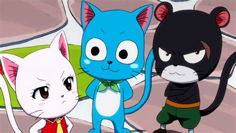 Happy Vs Panther Lily Fairy Tail Couples Wiki Fandom Powered By Wikia