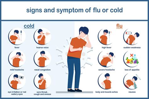 Vector illustrations of cold and flu symptoms.infographic of difference ...