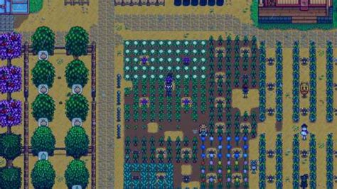 Stardew Valley: 8 best Sprinkler layouts