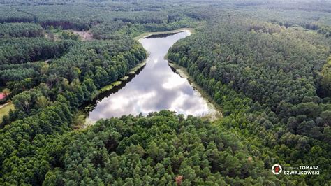 Jezioro Czarne Du E Park Krajobrazowy Puszcza Zielonka Nasza Zielonka